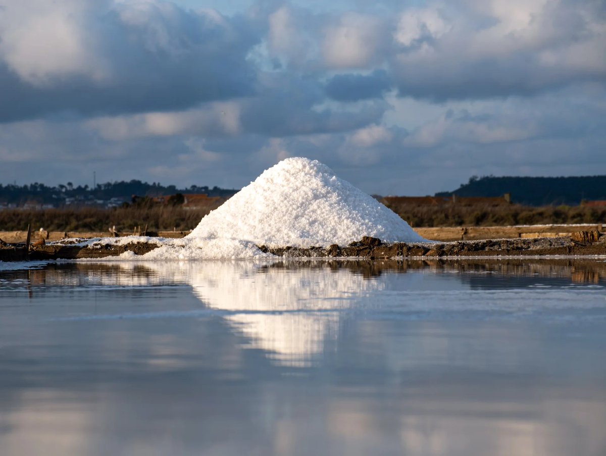 Atlas Salt Inc. tweet media