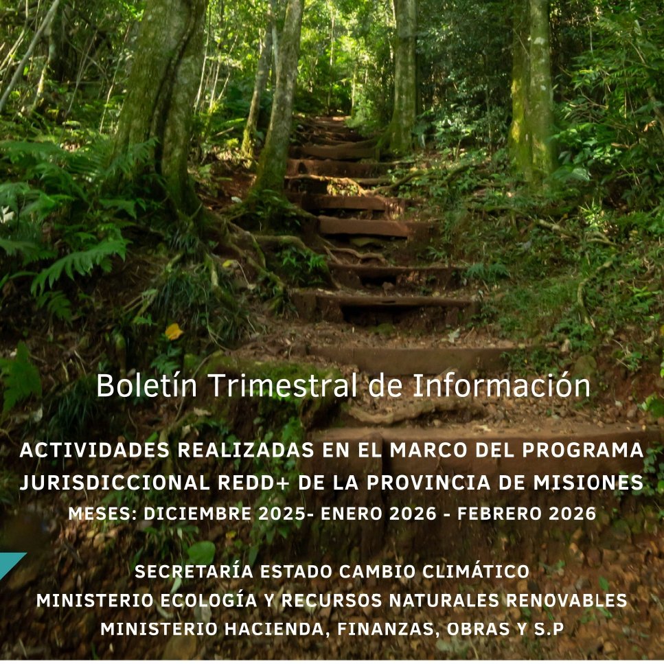 Programa JNR Misiones tweet media