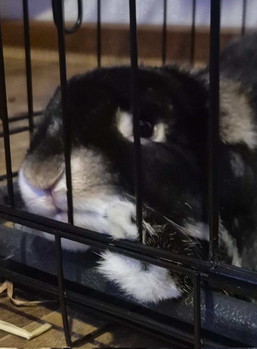 CØDENɅMEKɅY tweet media