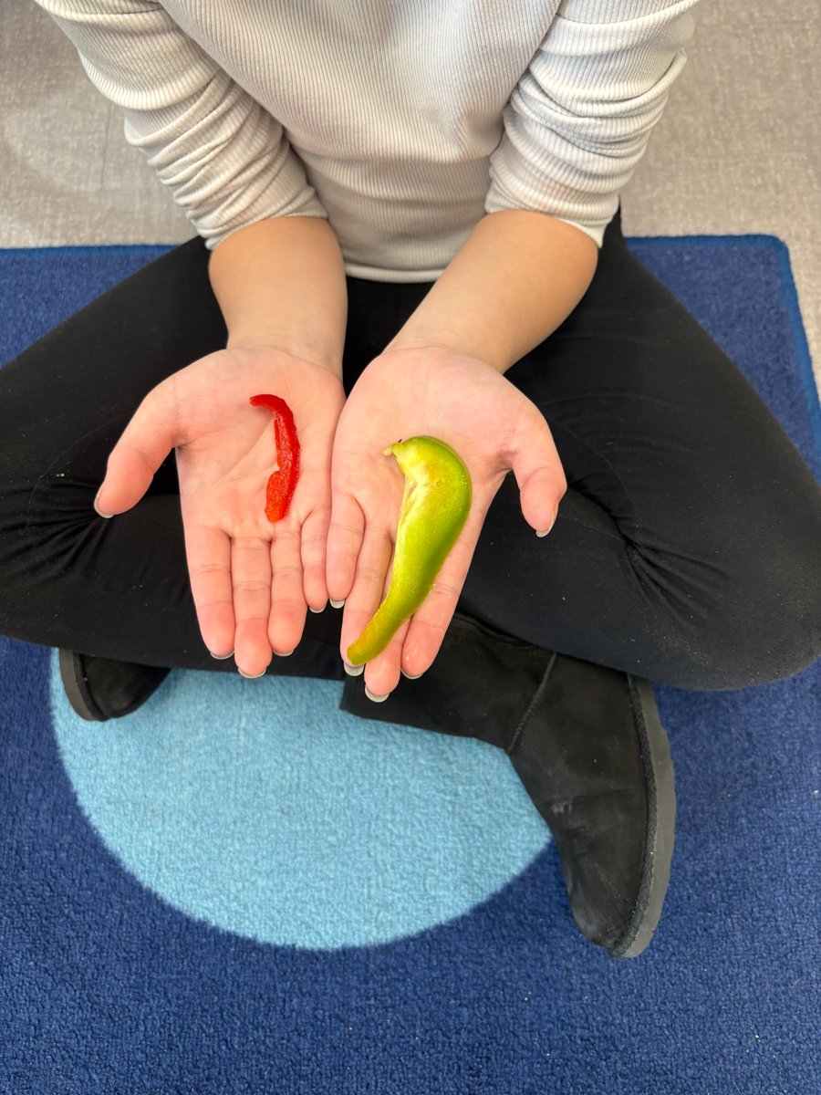 Des Moines Public Schools Food & Nutrition tweet media