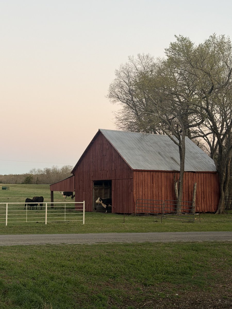 Marty Dicken tweet media