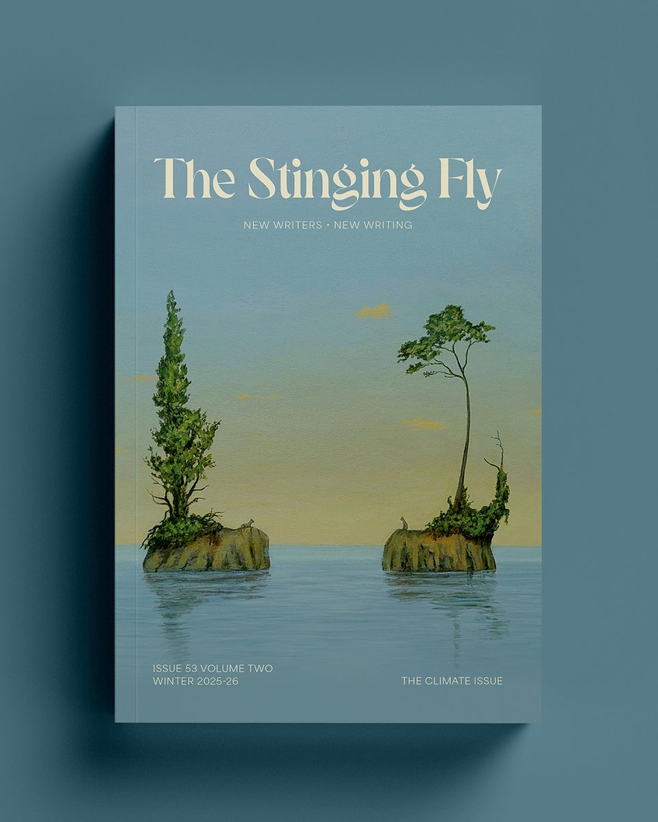 The Stinging Fly tweet media