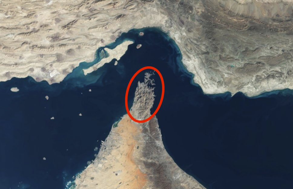 Bit Paine ⚡️ tweet media