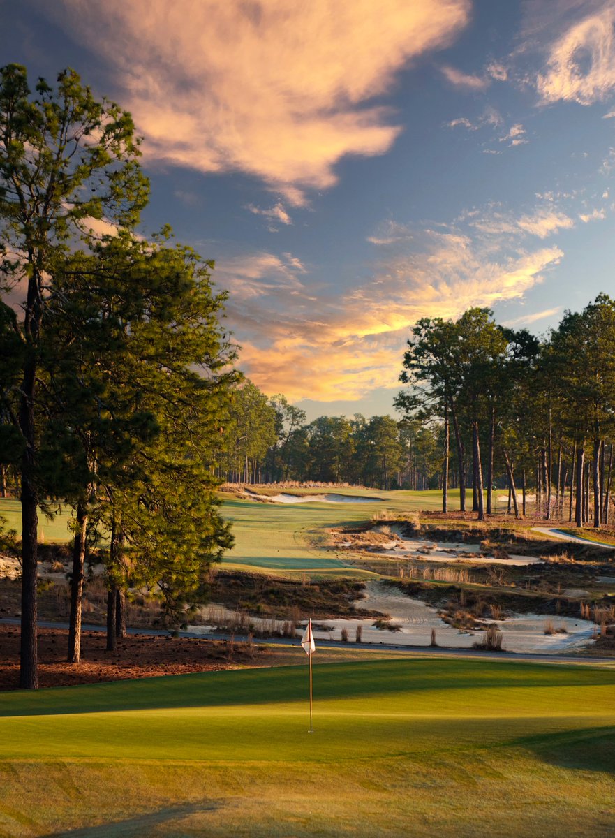Pinehurst Resort tweet media