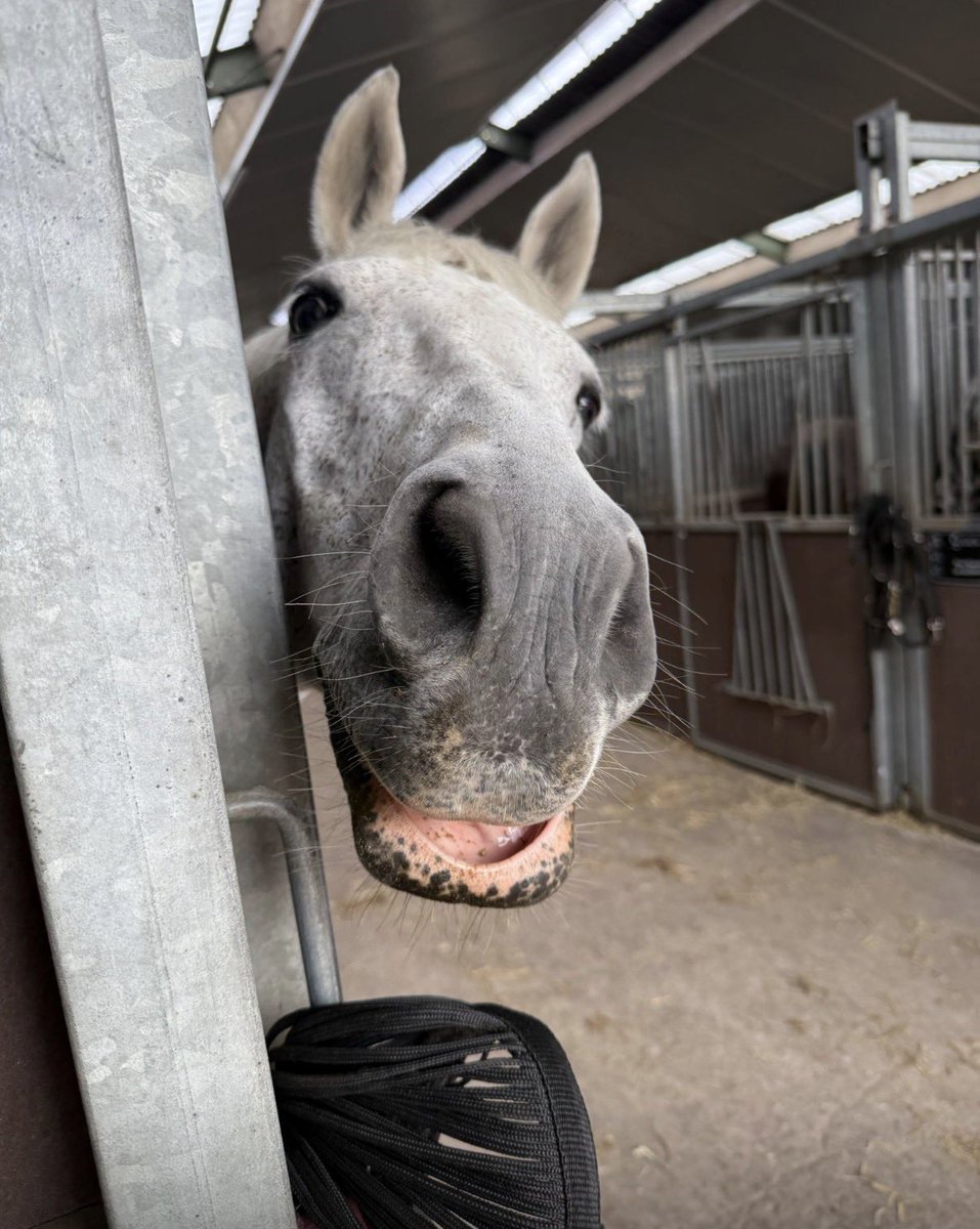 Claartje tweet media