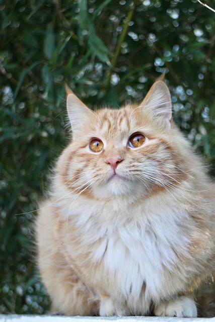 Angela Goodwin tweet media