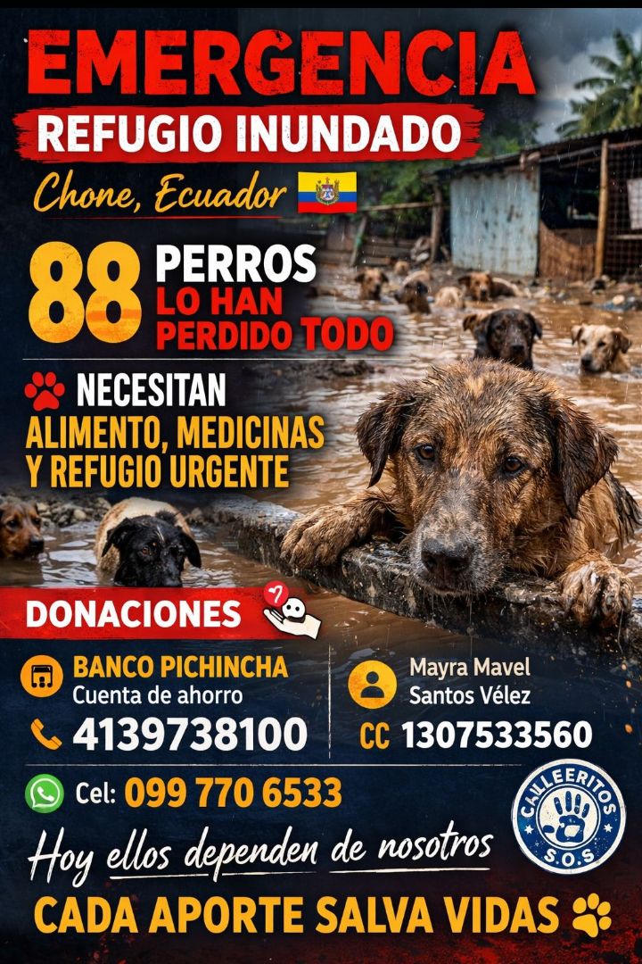 #Chone Hoy pedimos tu colaboración para los animales del refugio de Mayra, conocemos su obra. Tu granito de arena suma!