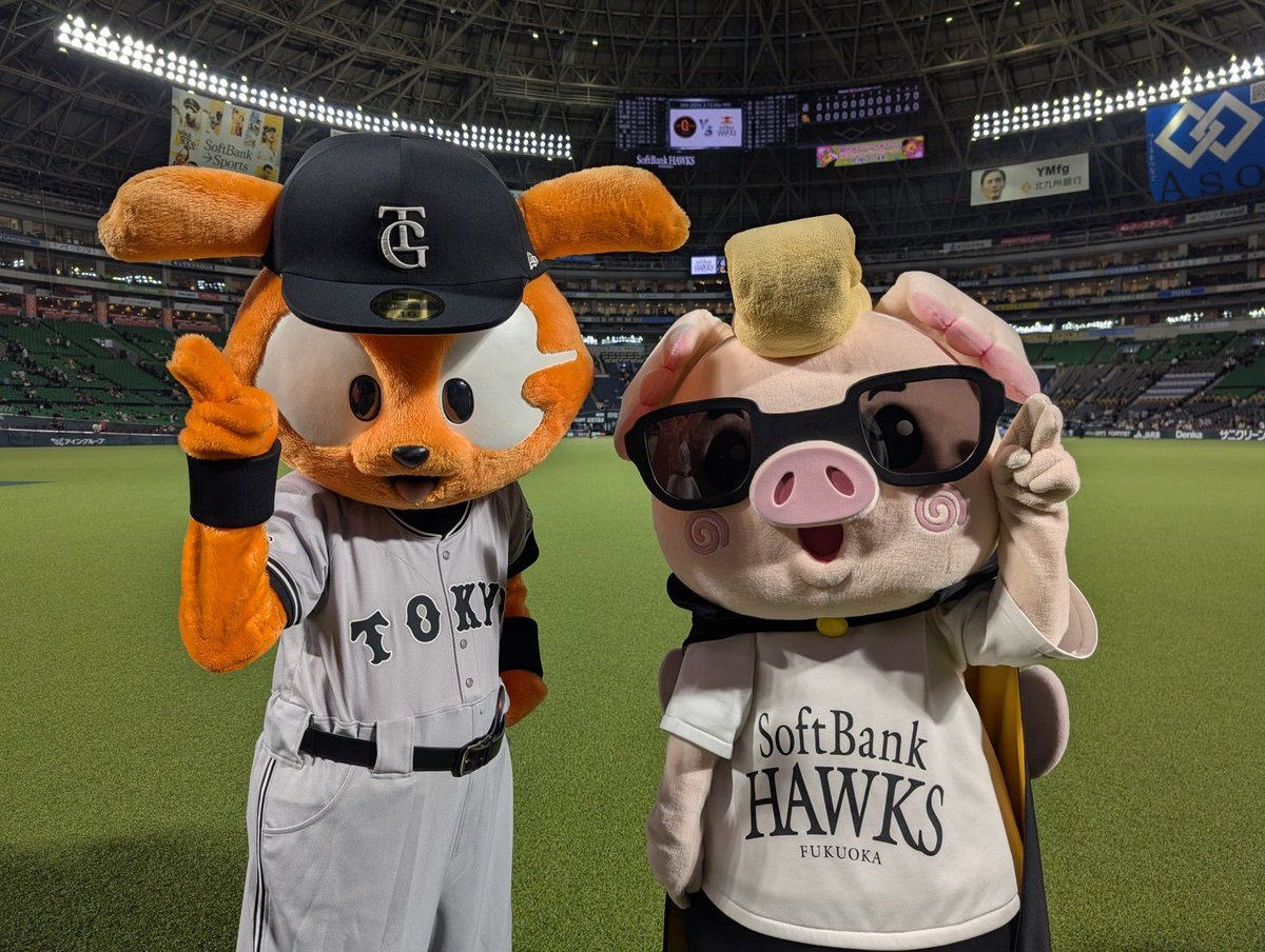 ハリーホーク(公式) tweet media