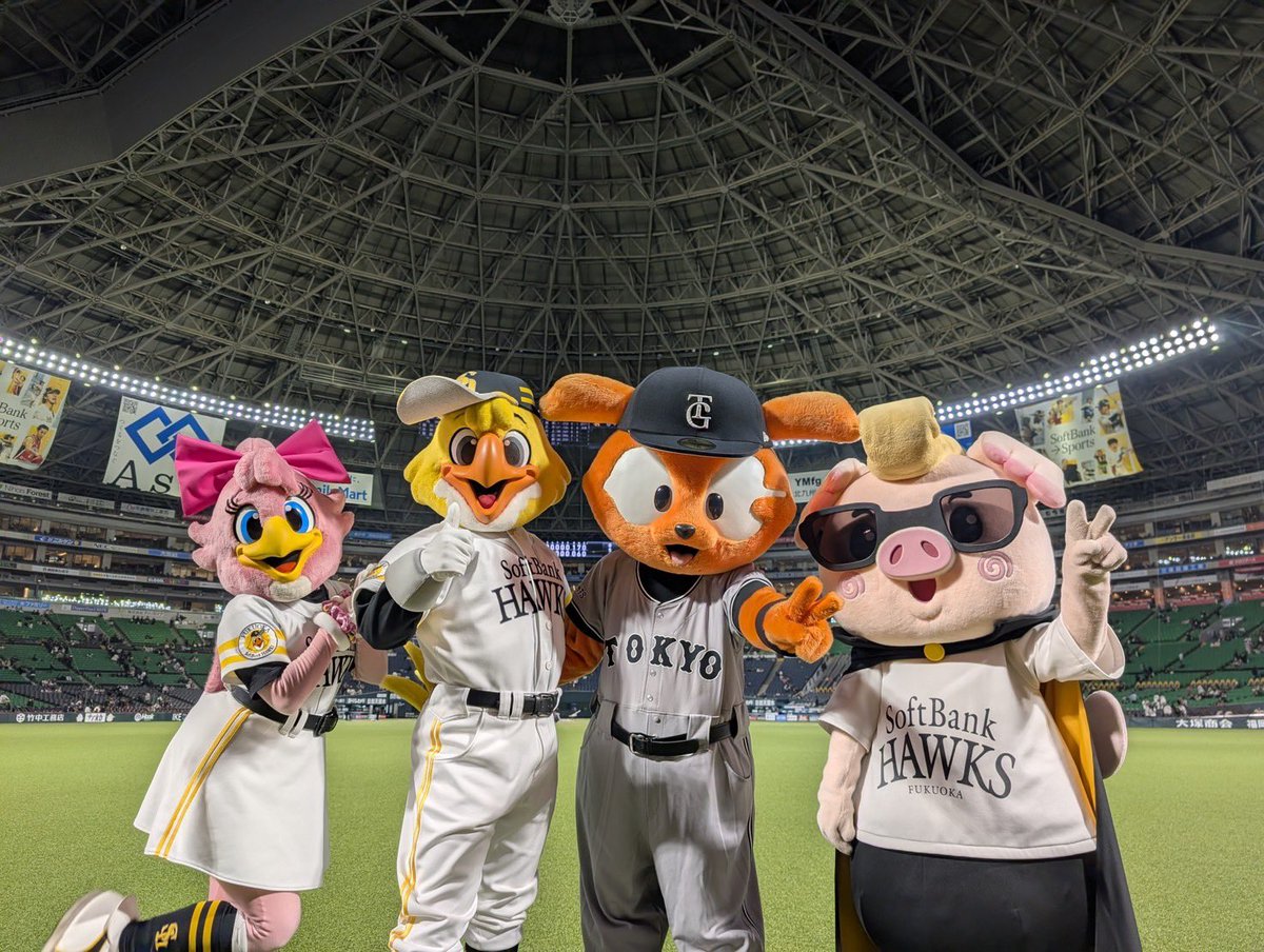 ハリーホーク(公式) tweet media