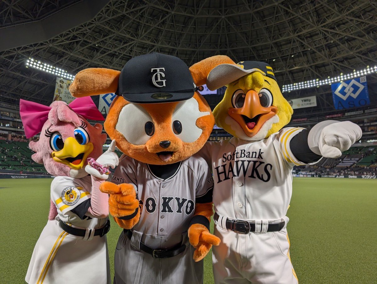 ハリーホーク(公式) tweet media