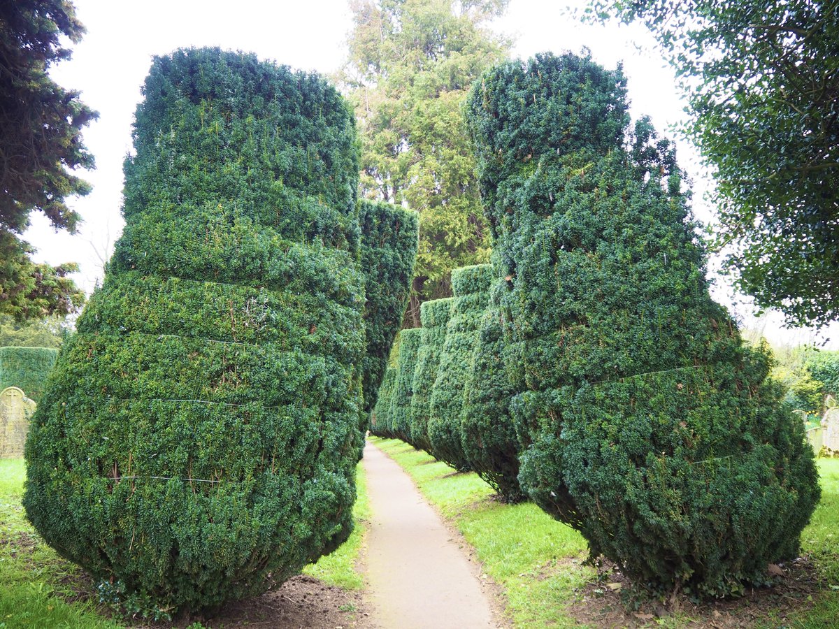 ムシュー猫 tweet media