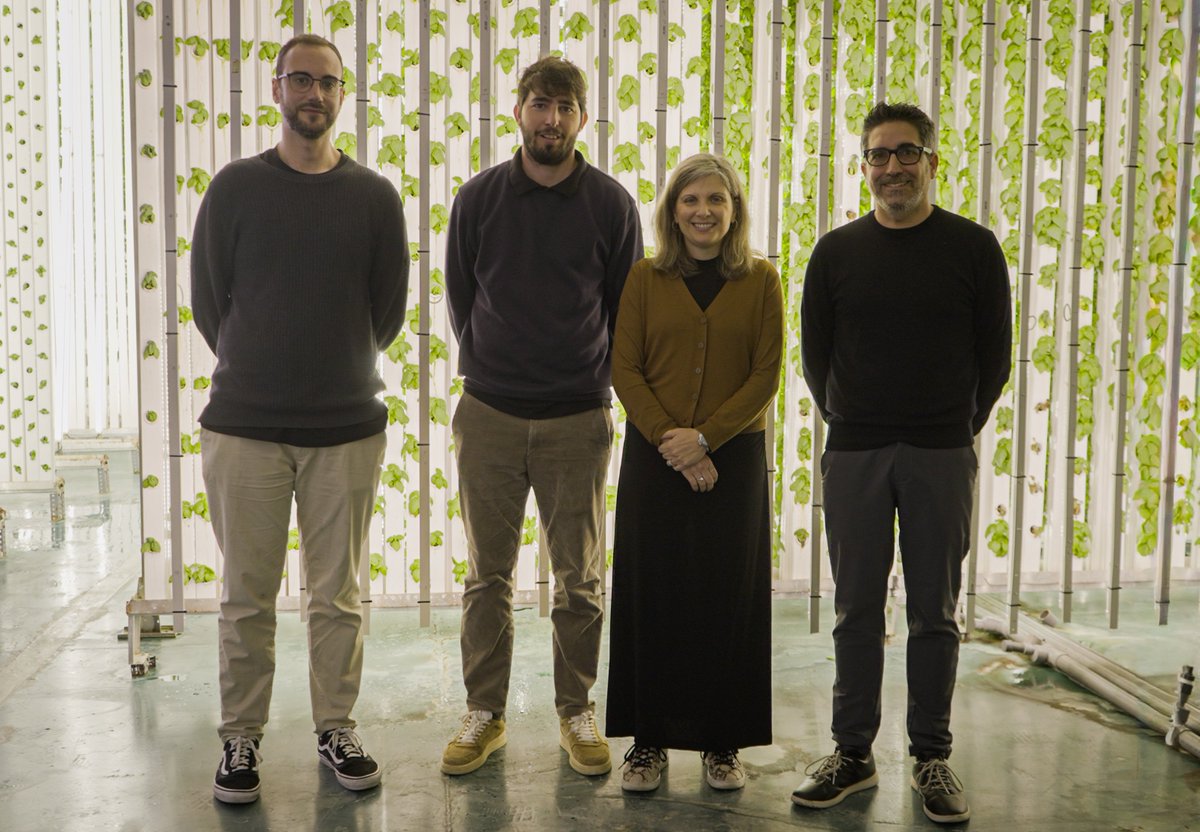 Avançsa tweet media