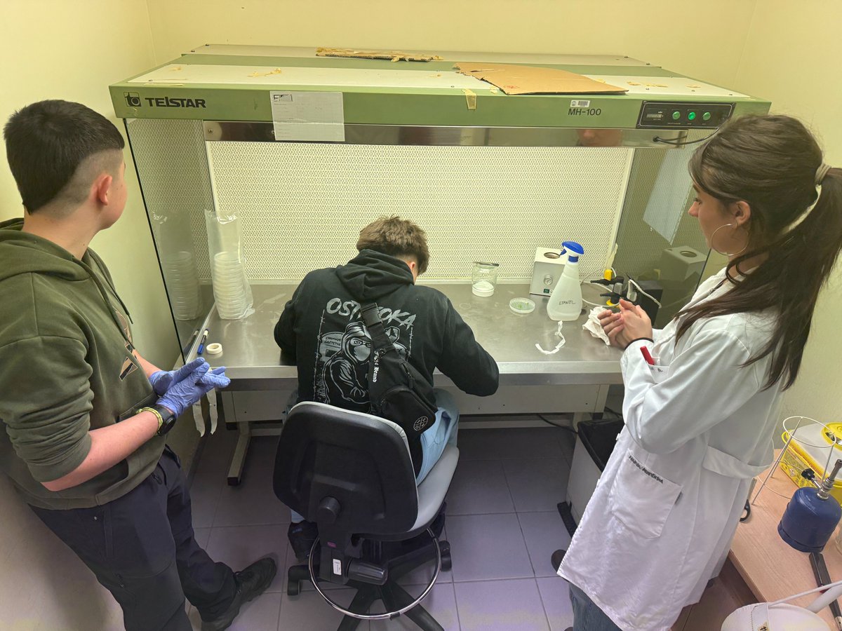 Instituto de Agrobiotecnología - CSIC tweet media