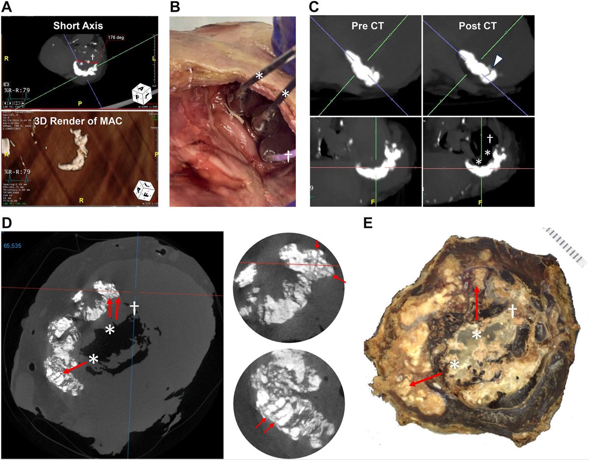 Do_No_Harmi tweet media