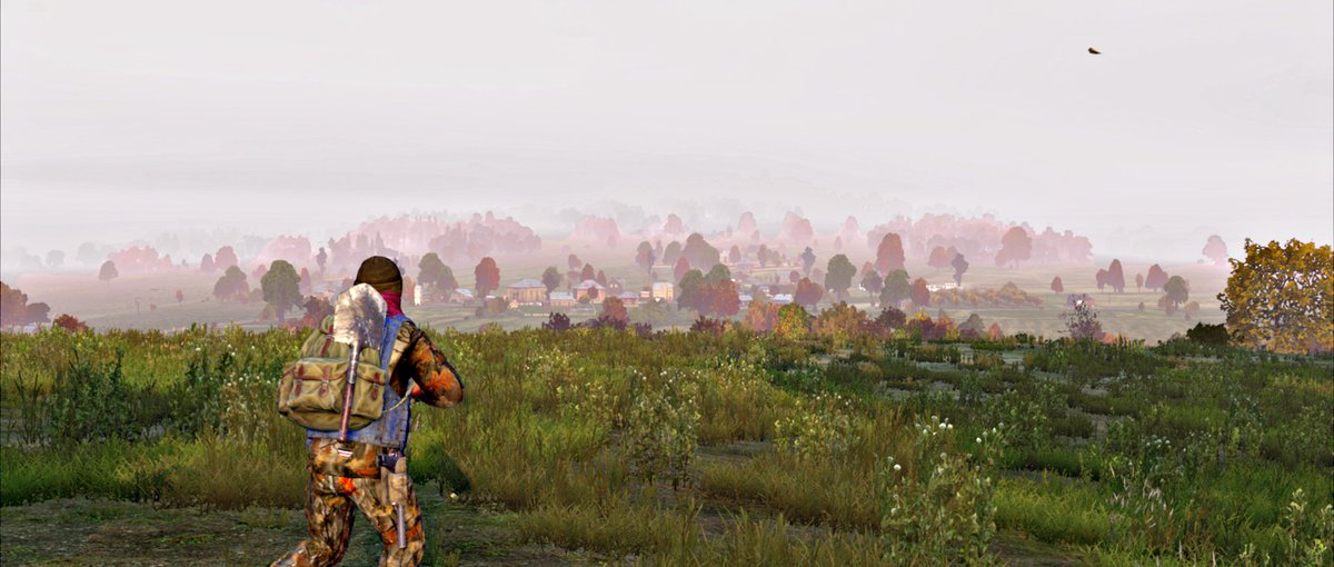 DayZ Out of Context tweet media