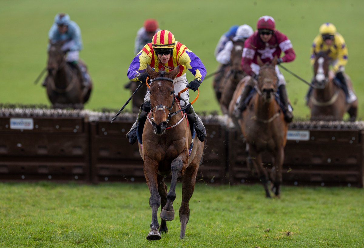 Racing Post Bloodstock tweet media