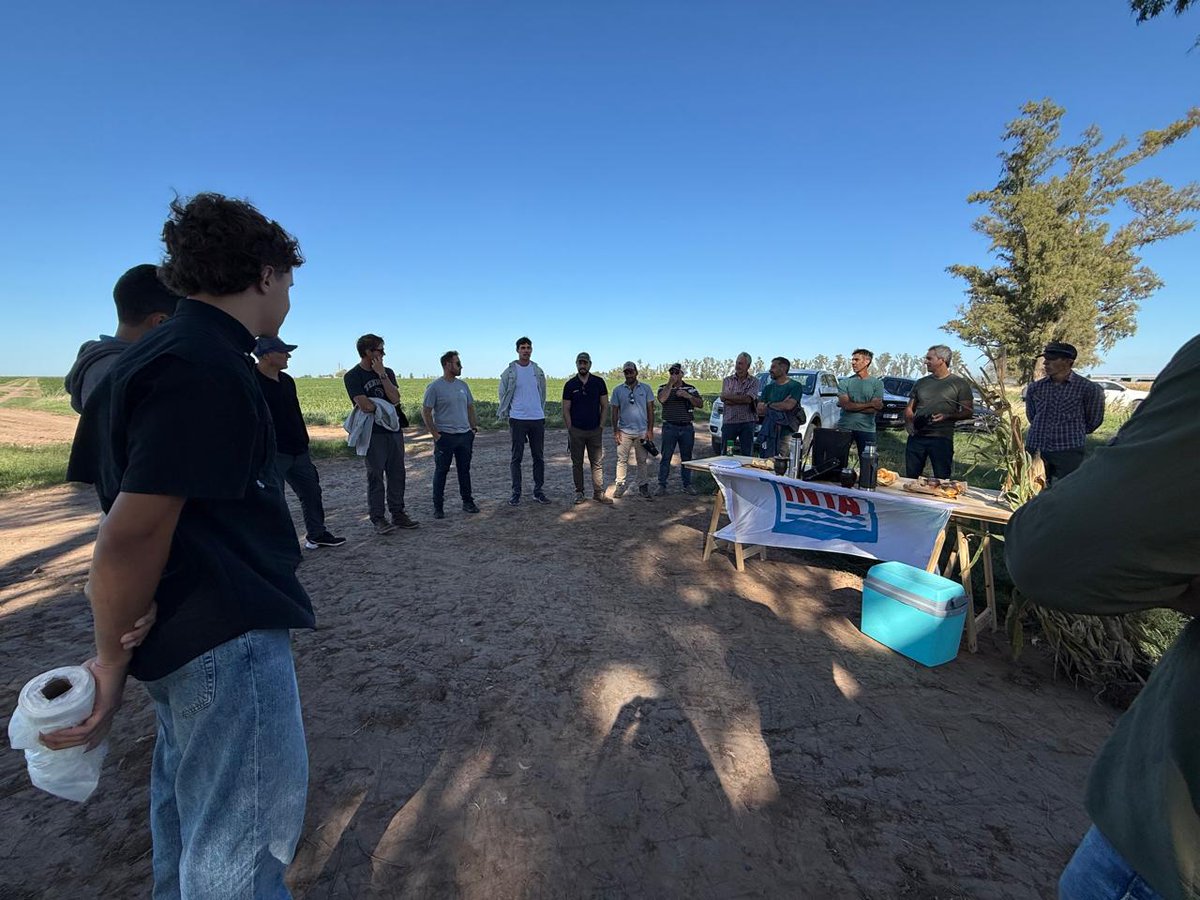 INTA Marcos Juárez tweet media