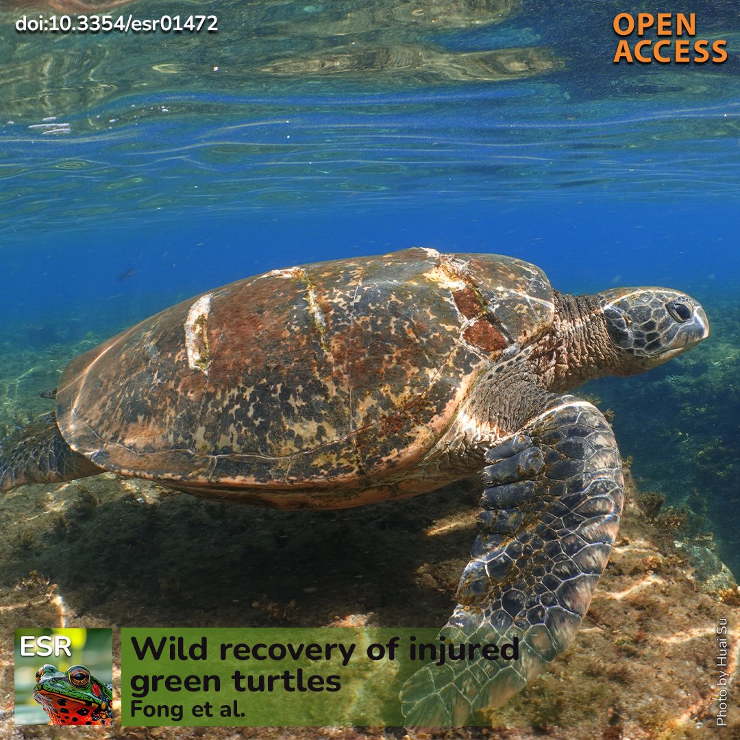 Endangered Species Research tweet media