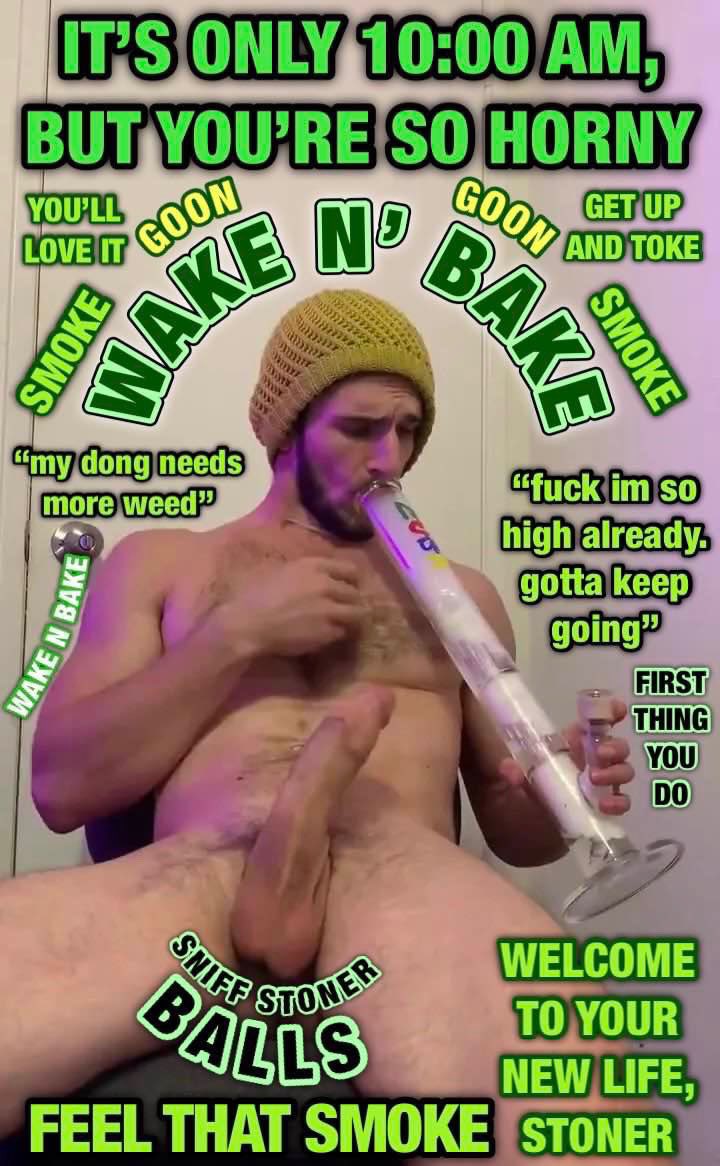 stargoon tweet media