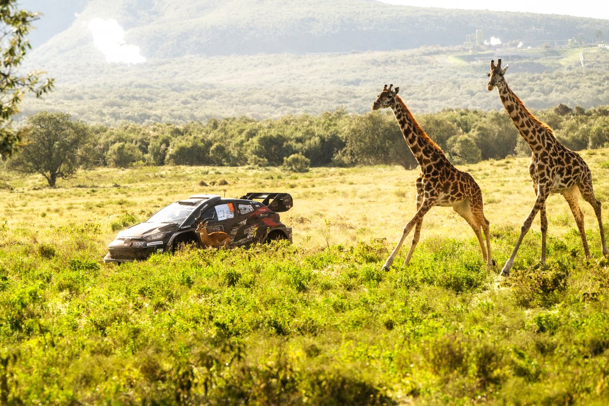 @RBContentPool tweet media