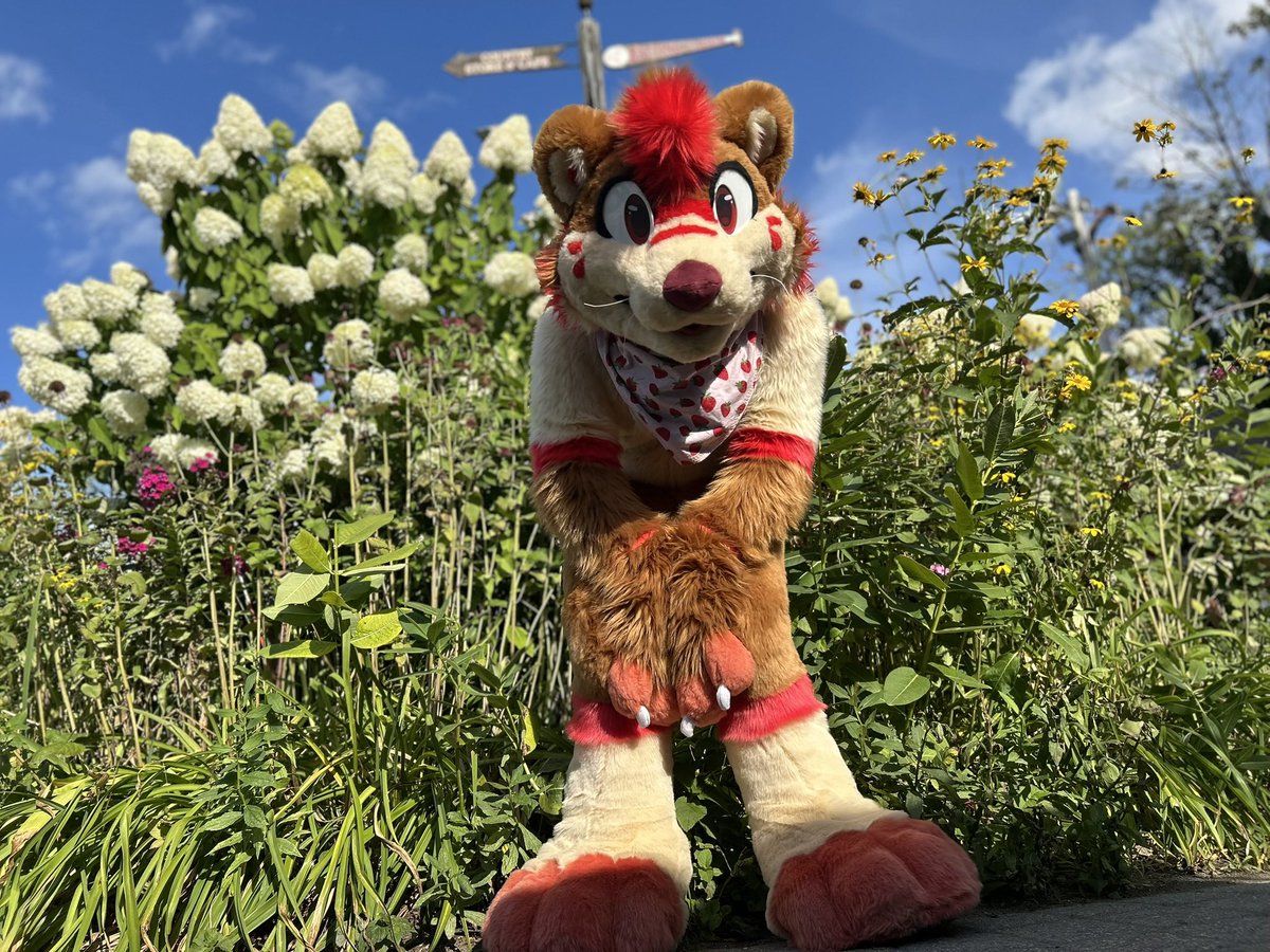 Jam! 🍓🔜 FCL, FWA tweet media