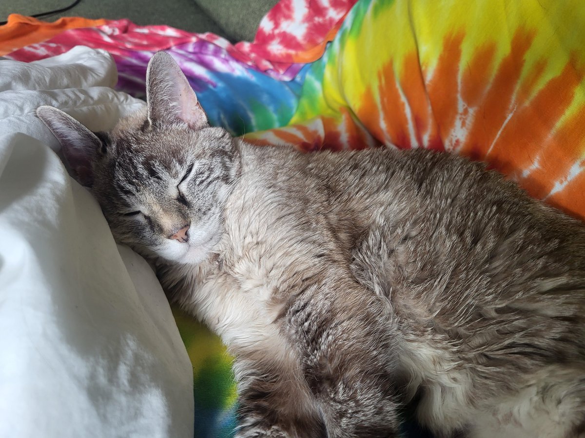 my 19 year old creature who has never participated in capitalism: