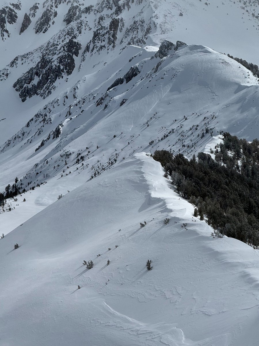 The avalanche danger will rise to CONSIDERABLE throughout the day. Strong winds combined with new snow will build sensitive slabs. Triggering a large avalanche is likely. Avoid wind-loaded slopes and areas with buried weak layers.

sawtoothavalanche.com

PC: Tyler, Jorgenson