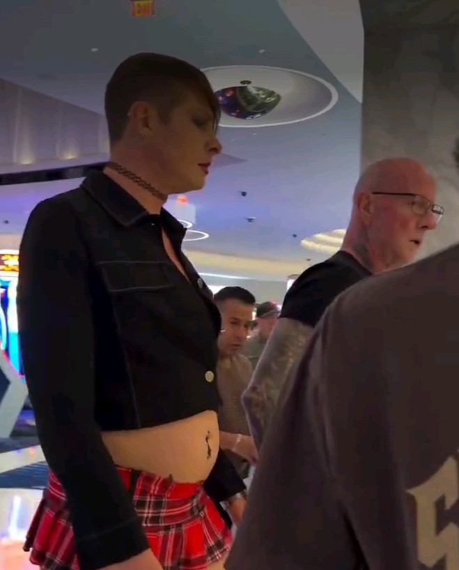 begoniosin almeja tweet media