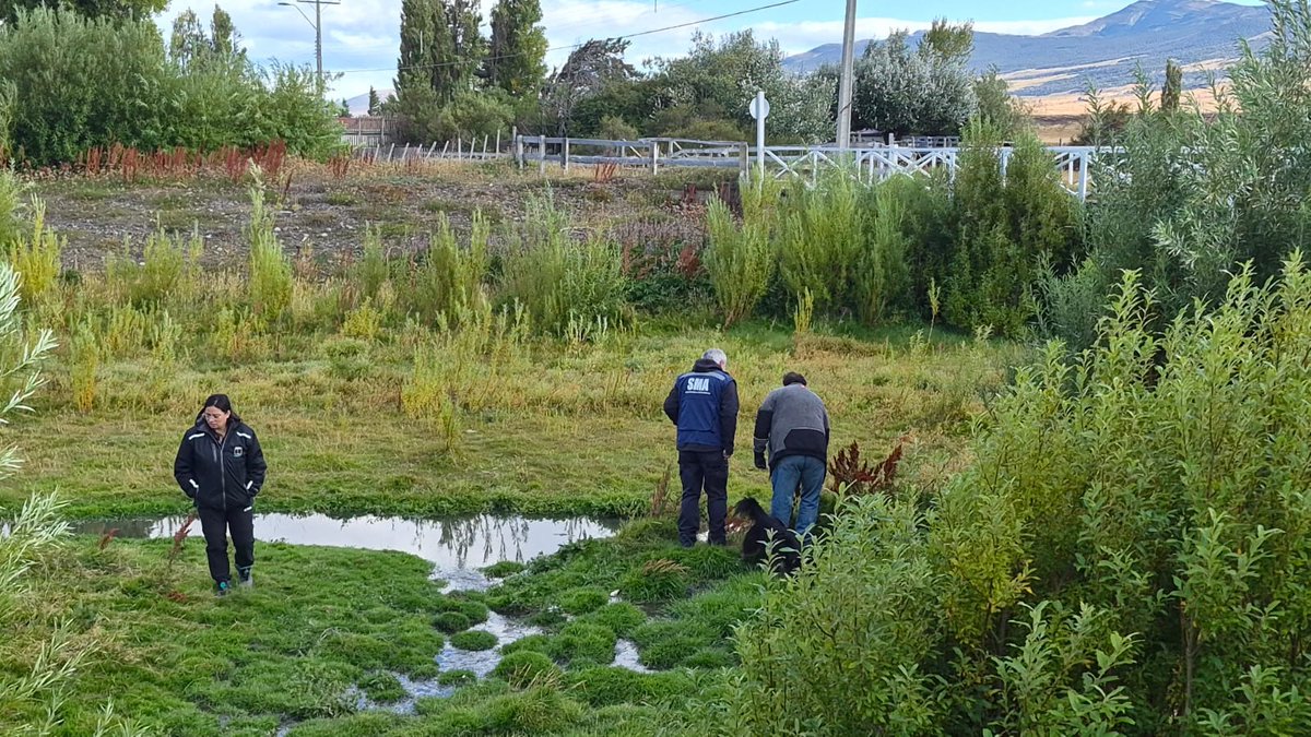 Superintendencia del Medio Ambiente tweet media