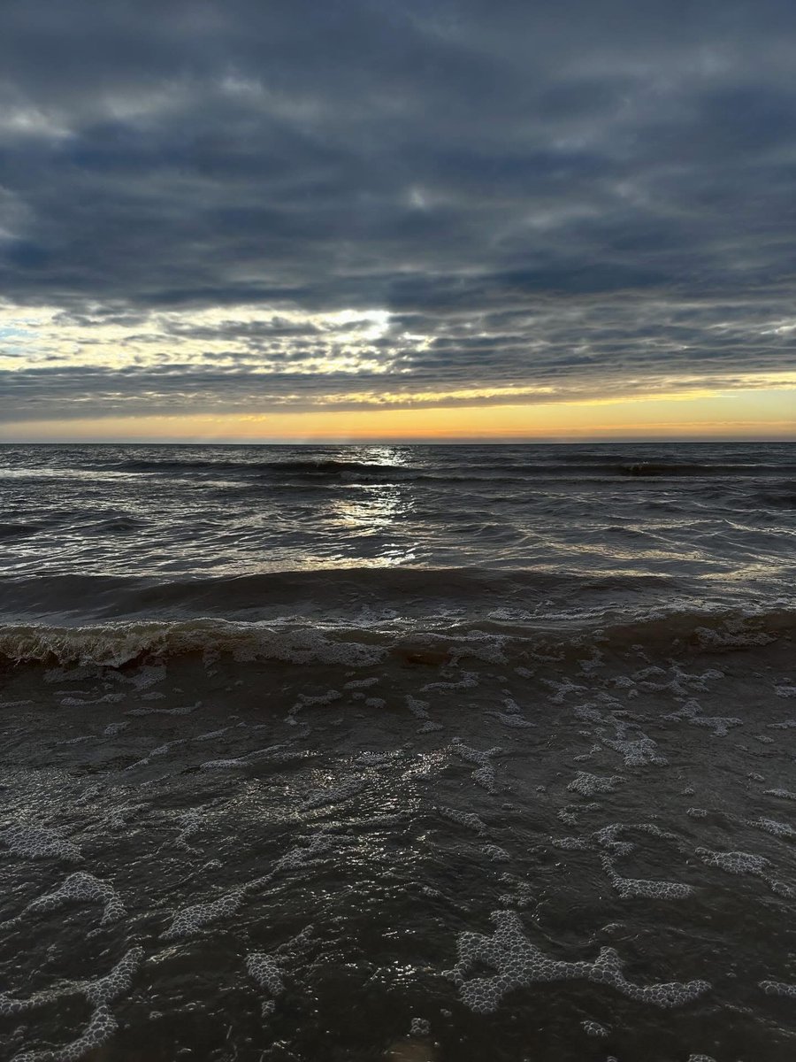 Shiphead Shawn tweet media