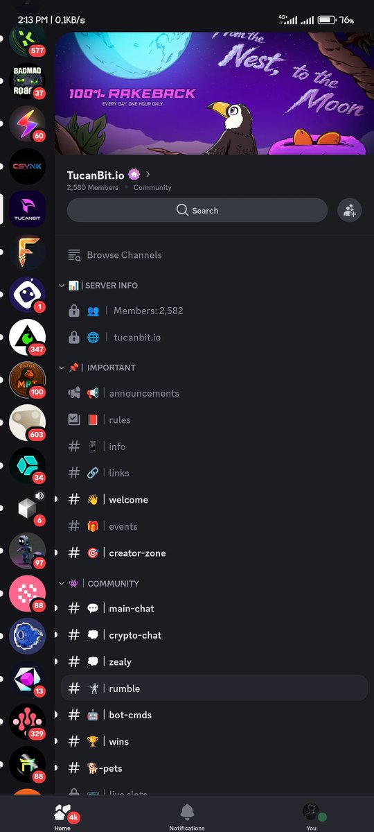 rine jumi tweet media