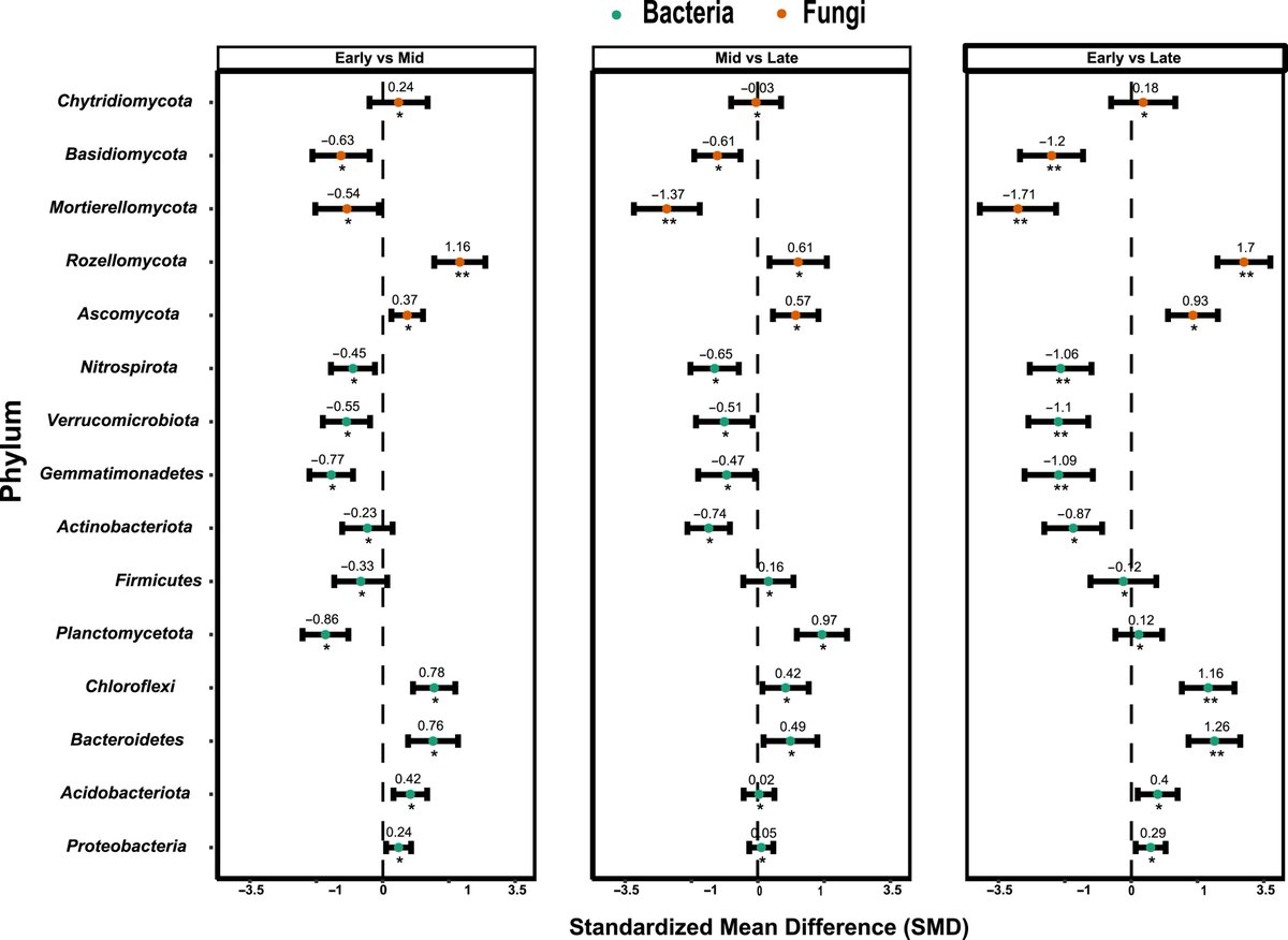 Osbert Sun tweet media