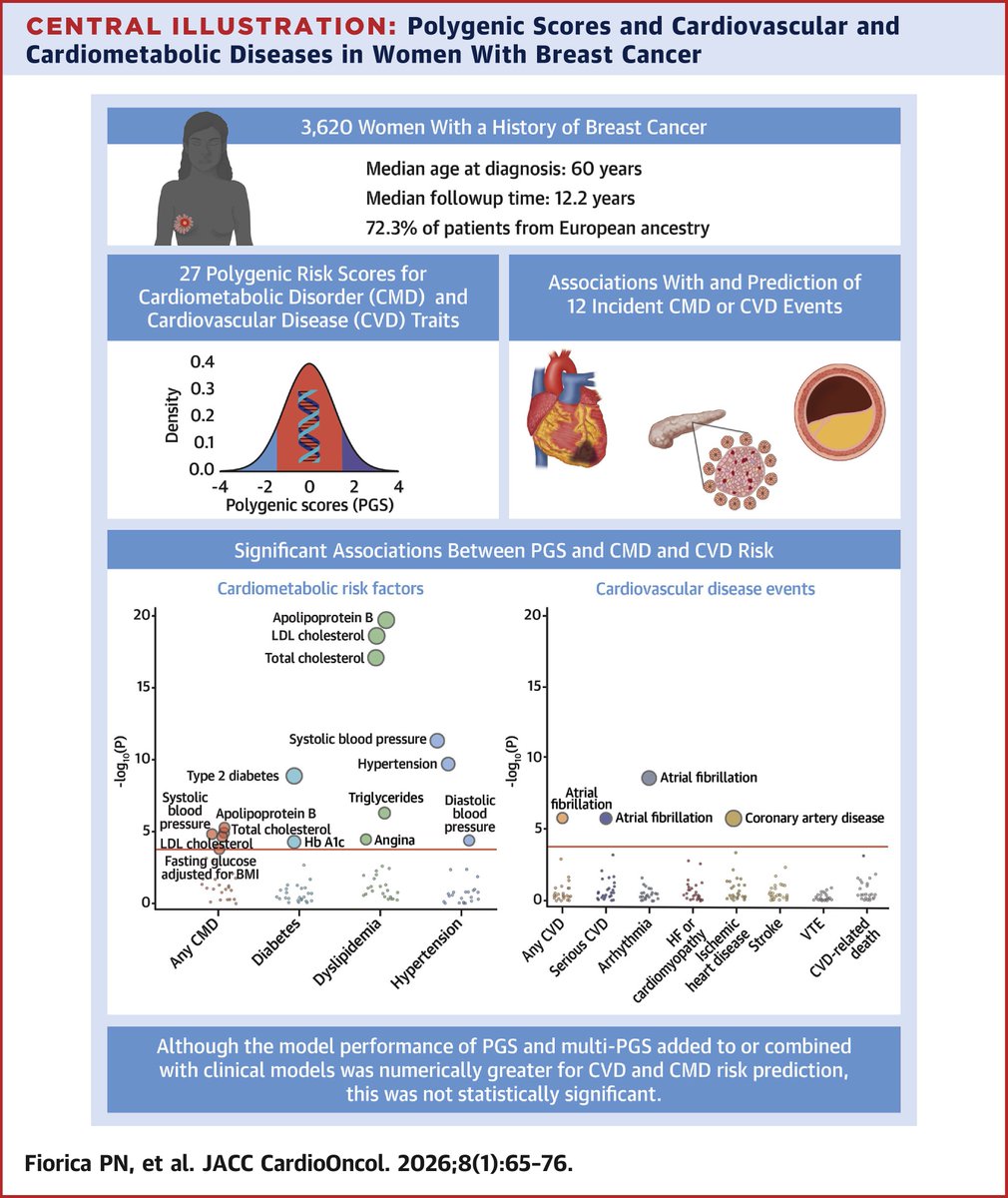JACCJournals's tweet image. This prospective study analyzed 27 different PGS in 3.620 women w/ BC. The model performance for #CVD risk prediction was not statistically sig. This highlights the need for new PGS models specifically for cancer pts. jacc.org/doi/10.1016/j.… #JACCCardioOnc #BCsm @fiorica_peter