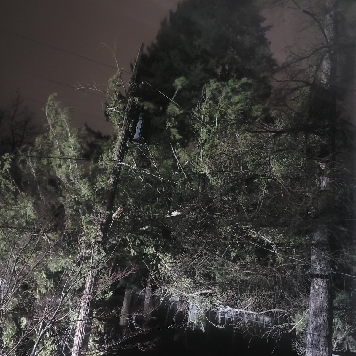 Rin Nights 🌙 ✨ tweet media