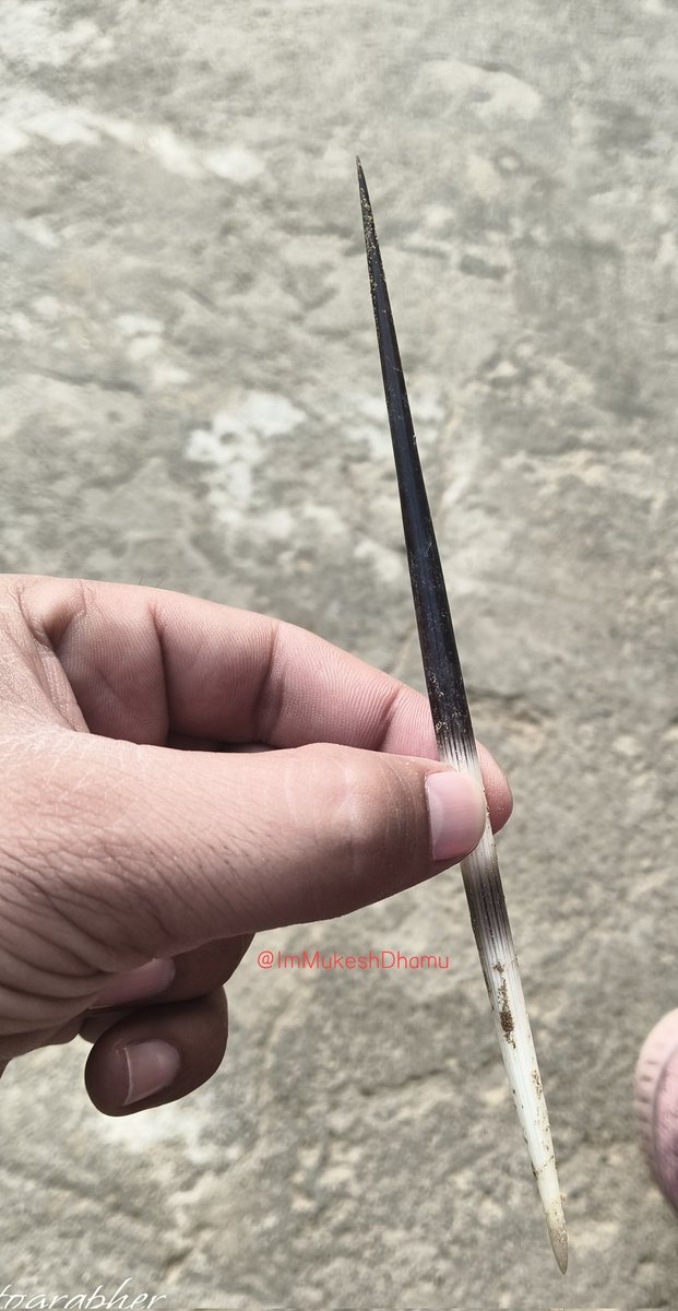 Mukesh Dhamu tweet media