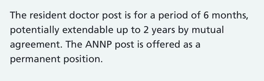 consultantplatinumpizza™ tweet media