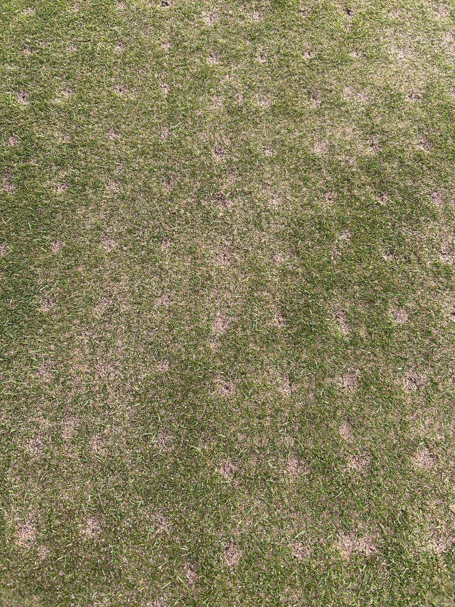 Antony Kirwan tweet media