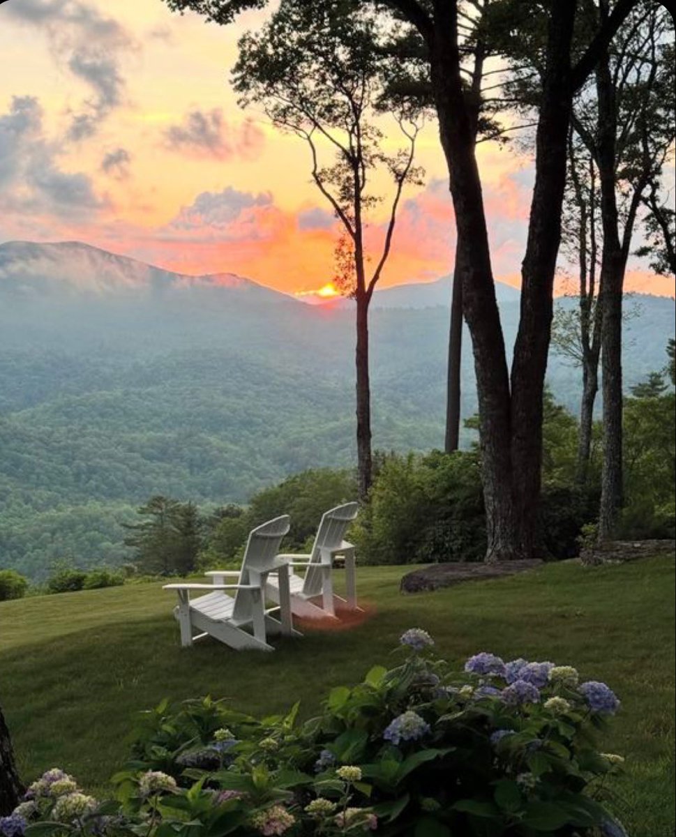 Elle Lookbook tweet media