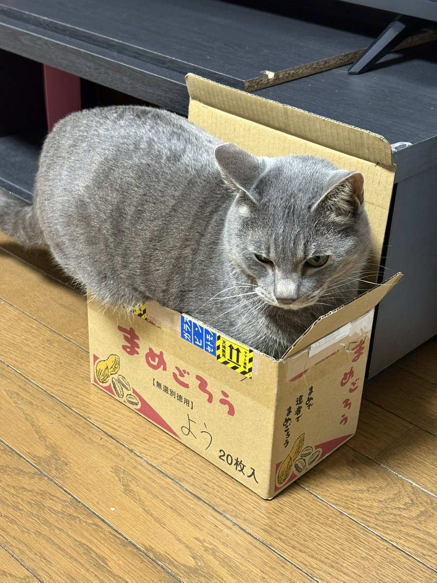 よう@S2K tweet media