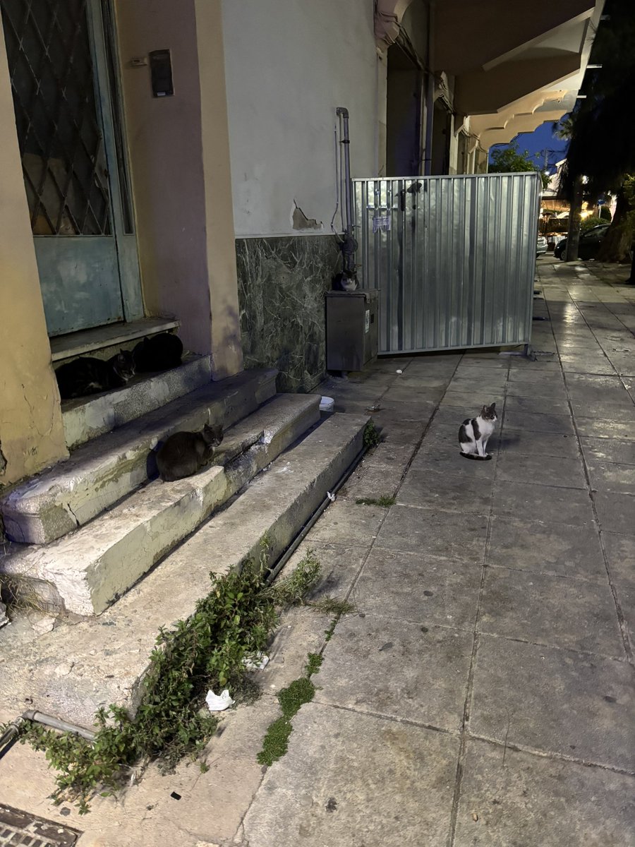 frixuelosqueen's tweet photo. dump de bichitos de atenas https://t.co/nS7vsYc4GP