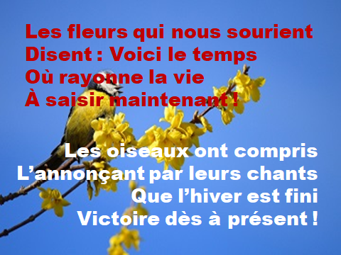 yvesprigent2's tweet photo. Cantique des Cantiques :2 v 11-12 :
« Voici, l’hiver est passé ; la pluie a cessé, elle s’en est allée. Les fleurs paraissent sur la terre, le temps de chanter est arrivé, et la voix de la tourterelle se fait entendre dans nos campagnes… »
https://t.co/95vXqXos0s https://t.co/YDlyQYxzax
