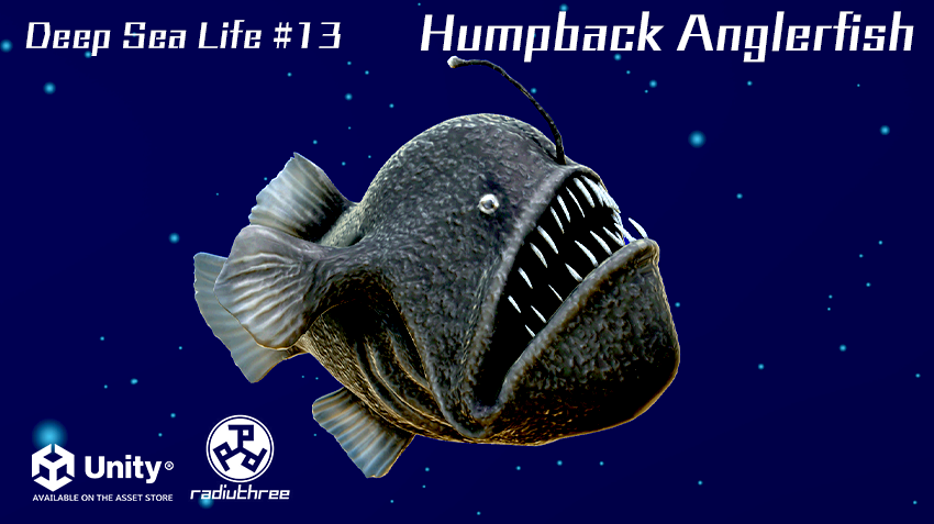 ラディアスリー tweet media