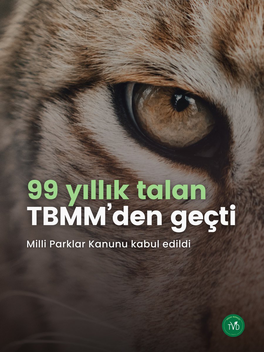 Vegan Derneği Türkiye tweet media