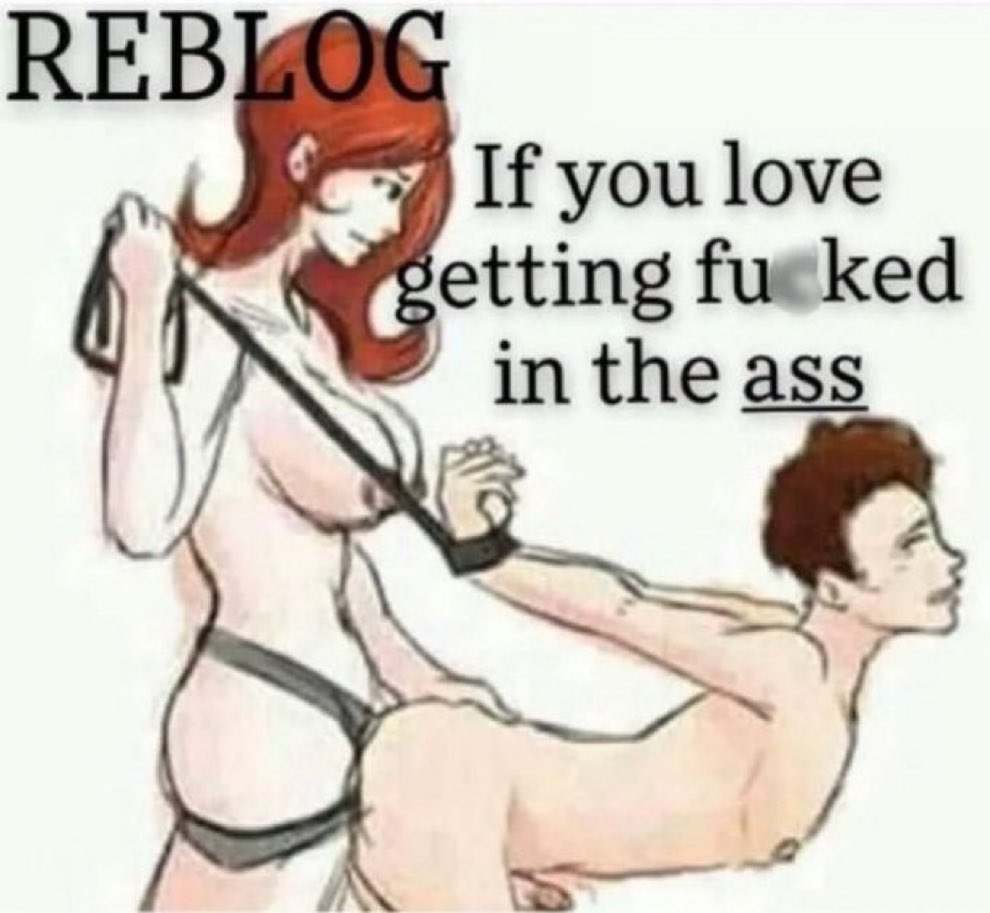 SISSY/GAYTEST PLATFORM tweet media