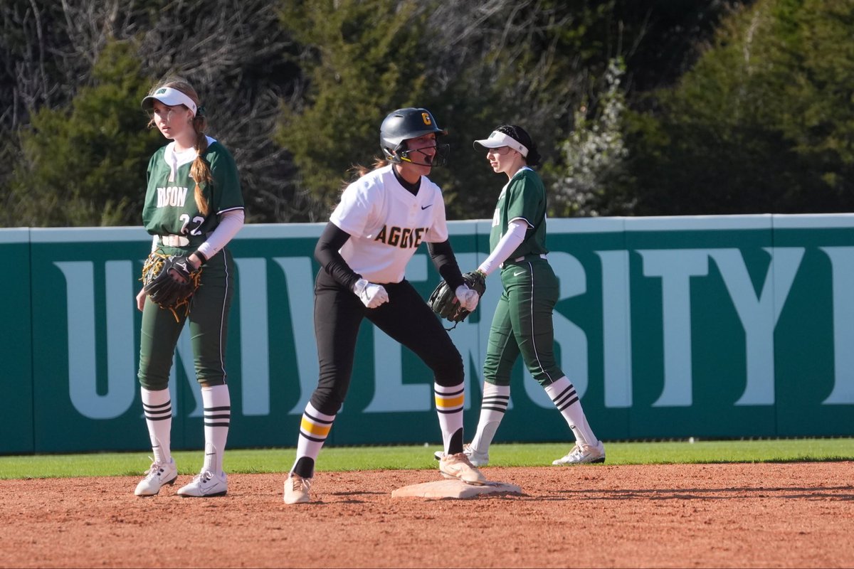 Cameron University Softball tweet media