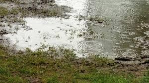 Five Acres High School tweet media