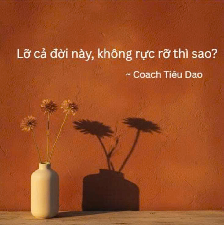 Tiêu Dao | Moon | ICF Coach tweet media