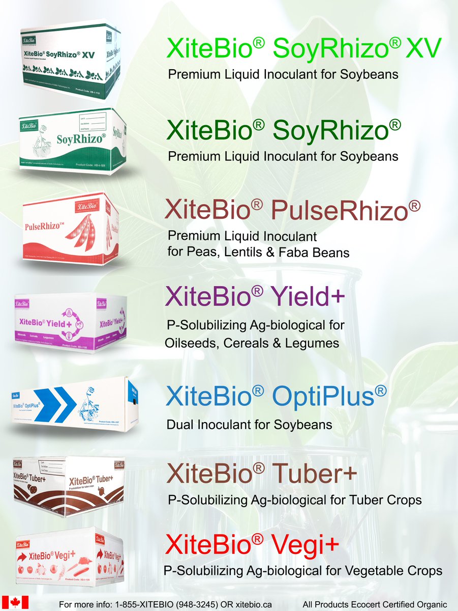 XiteBio Technologies tweet media