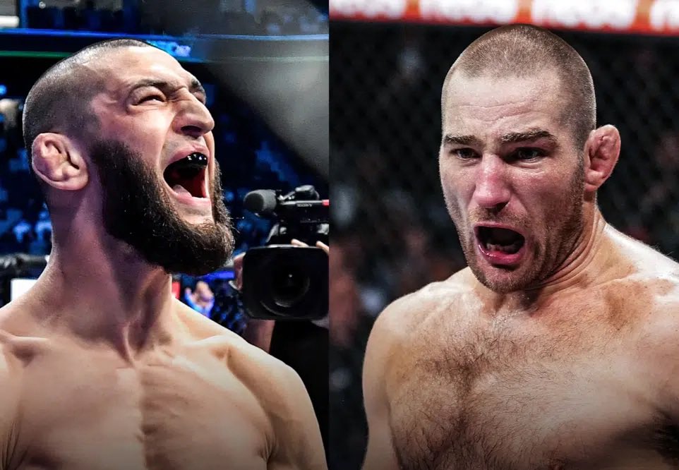 Blind Bear 🐻🕶️ tweet media