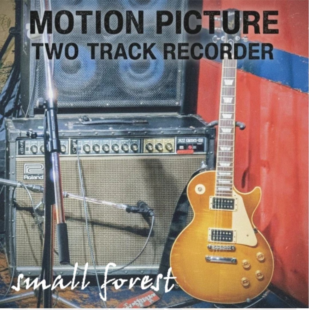 small forest tweet media